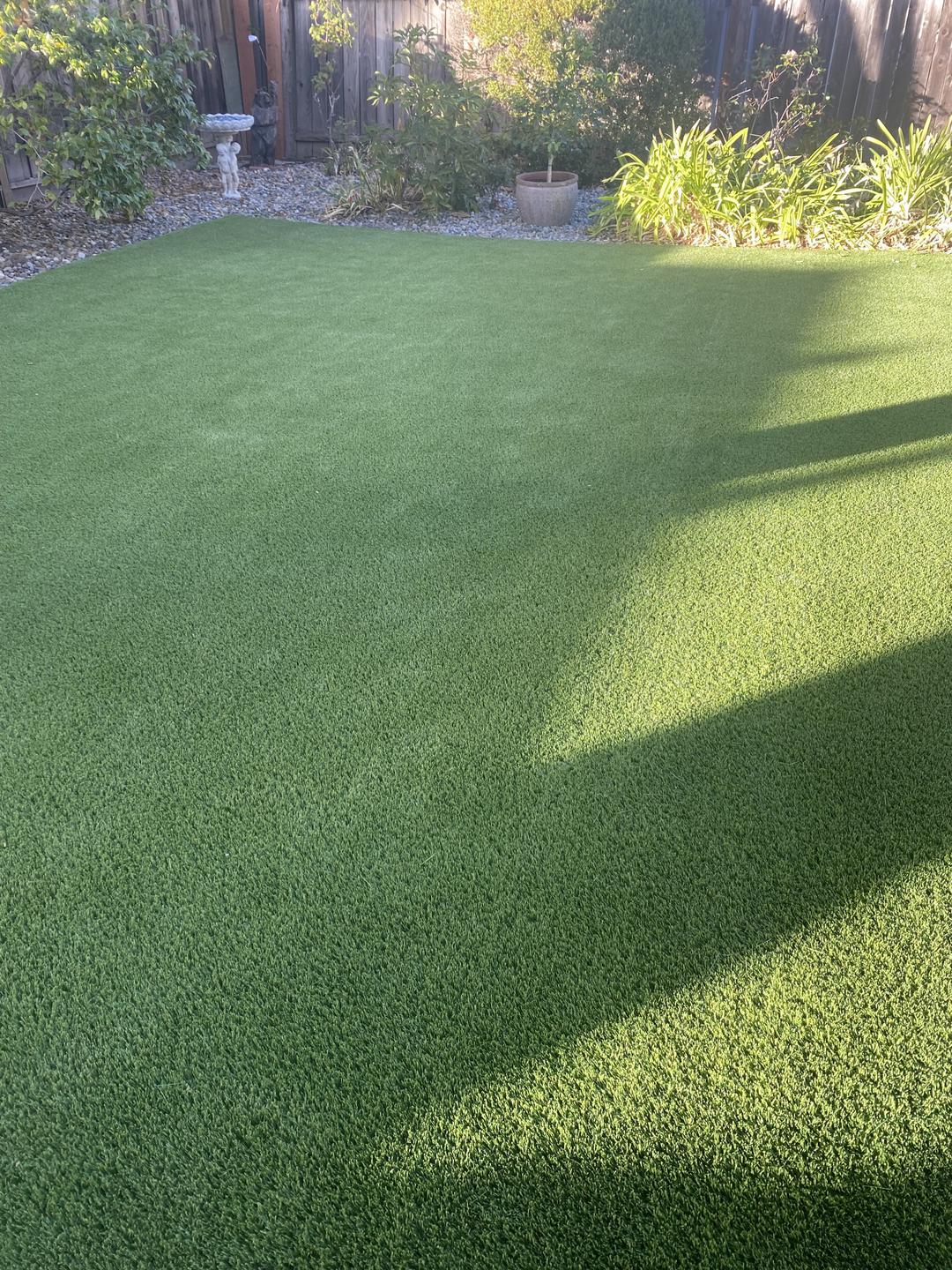 green-grass-back-yard